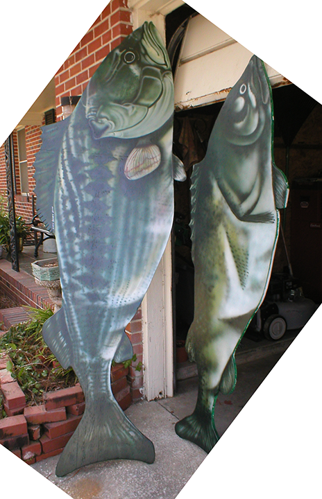 10' Fish Bench Backk